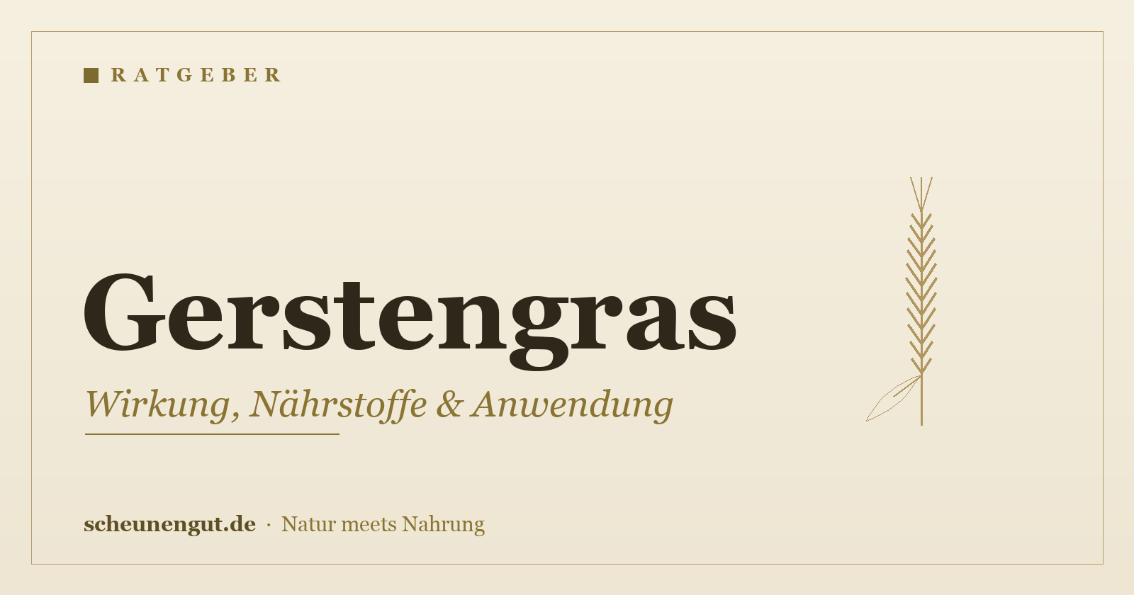 Gerstengras – Ratgeber: Wirkung, Nährstoffe & Anwendung