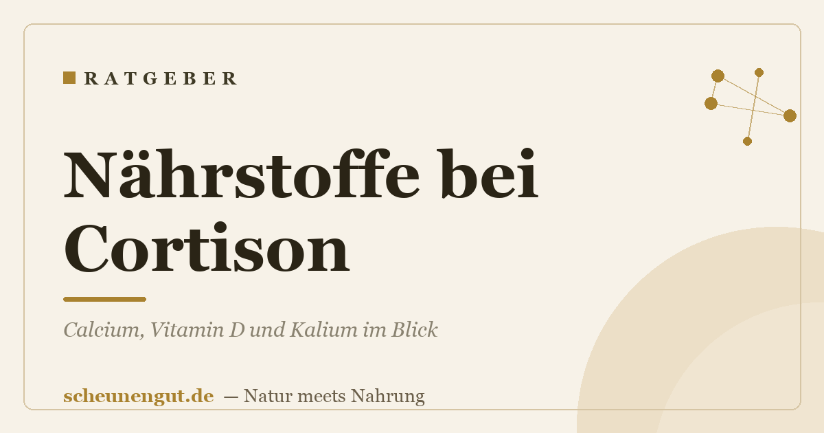 Nährstoffe bei Cortison: Calcium, Vitamin D und Kalium im Blick
