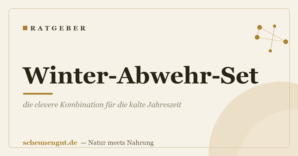 Winter-Abwehr-Set: die clevere Kombination für die kalte Jahreszeit