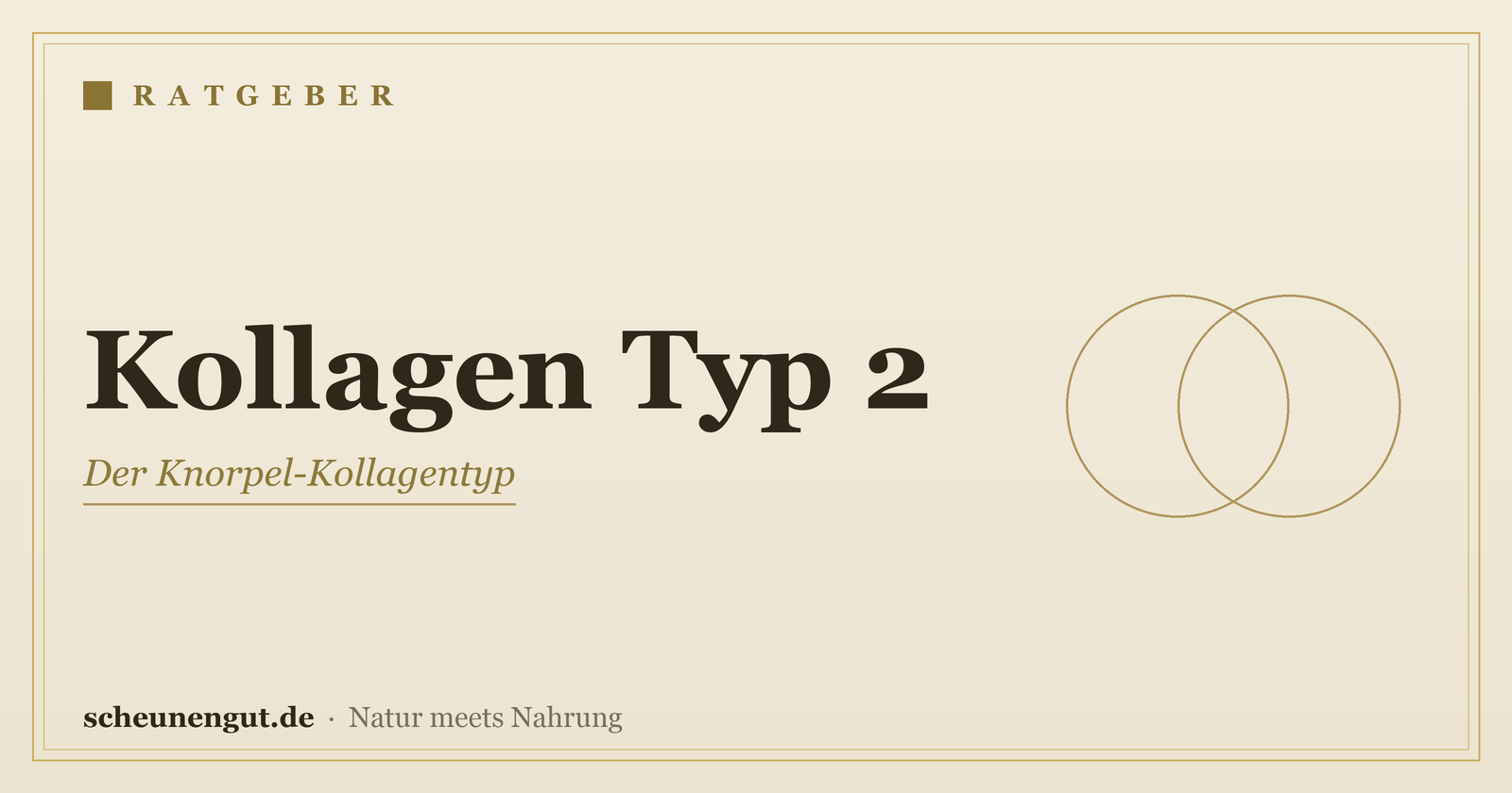 Kollagen Typ 2: der Knorpel-Typ für die Gelenke – Ratgeber von Scheunengut