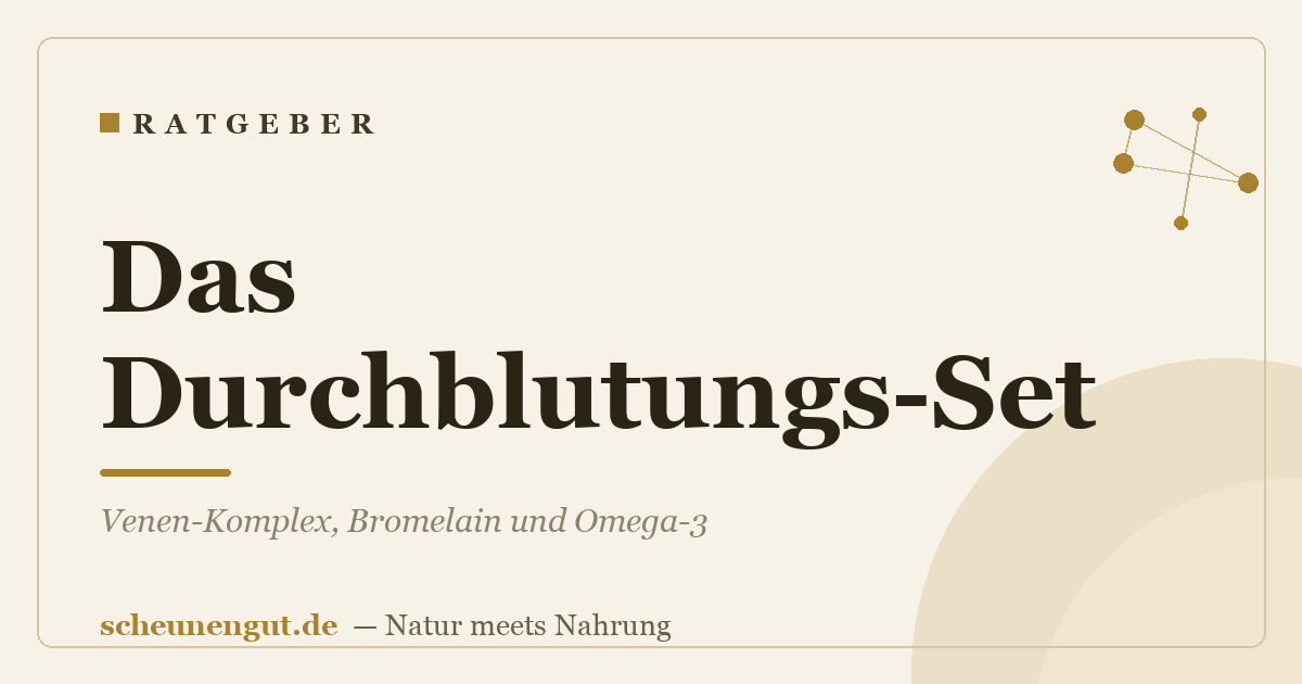 Das Durchblutungs-Set: Venen-Komplex, Bromelain und Omega-3