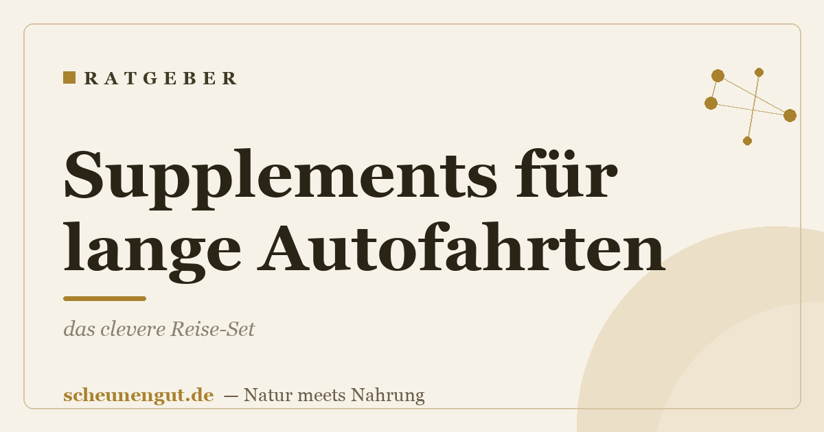 Supplements für lange Autofahrten: das clevere Reise-Set