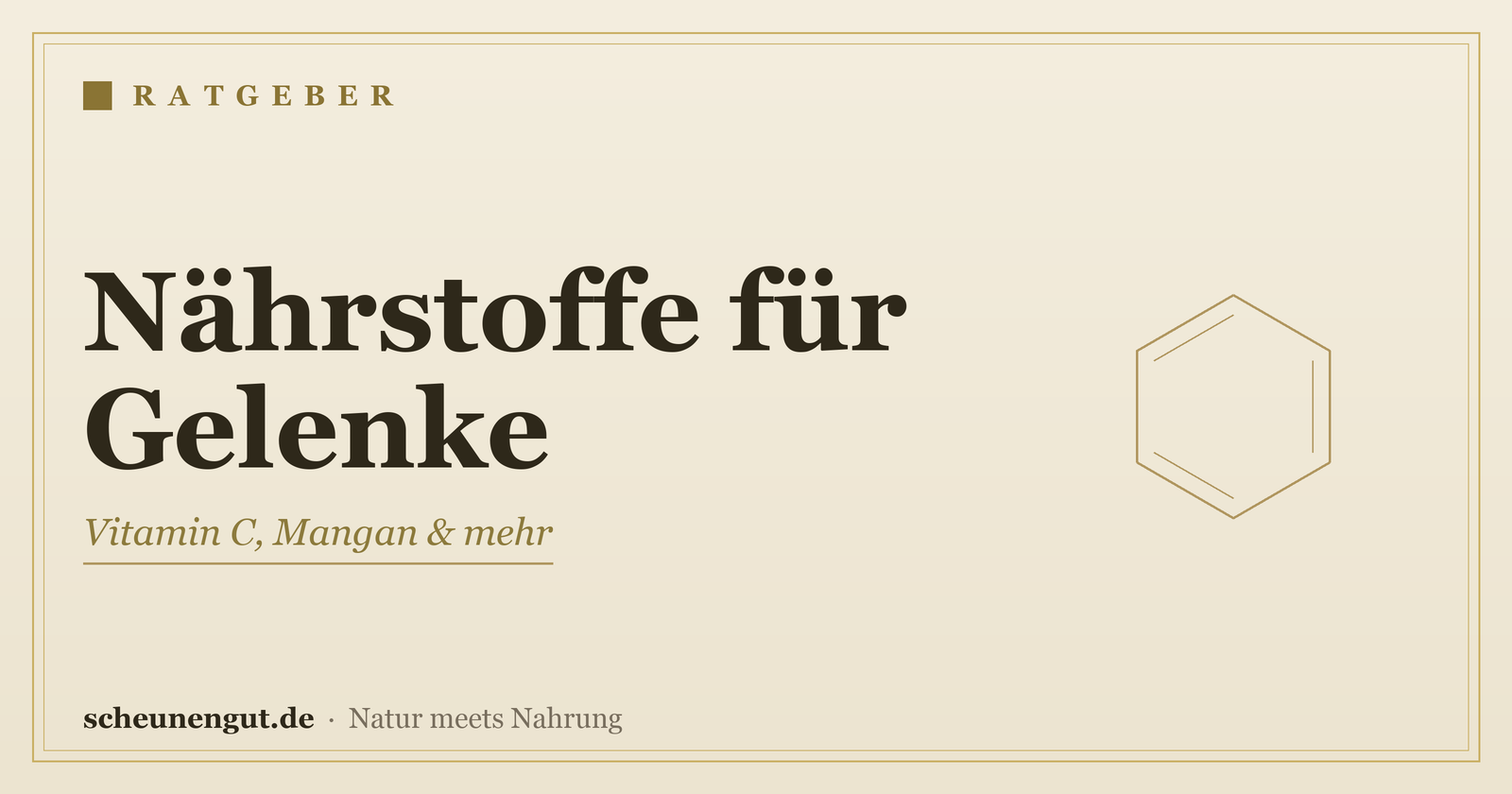 Nährstoffe rund um die Gelenke – Ratgeber von Scheunengut