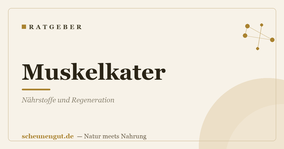 Muskelkater: Nährstoffe und Regeneration