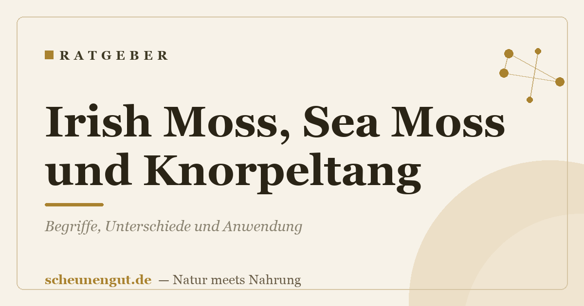 Irish Moss, Sea Moss und Knorpeltang: Begriffe, Unterschiede und Anwendung