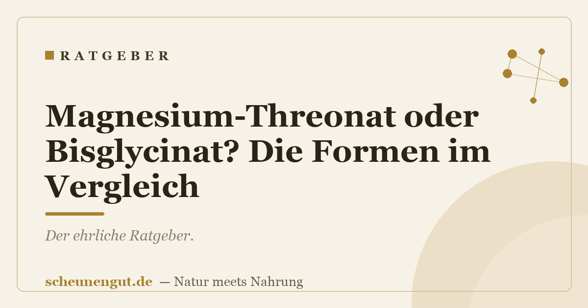 Magnesium-Threonat oder Bisglycinat? Die Formen im Vergleich