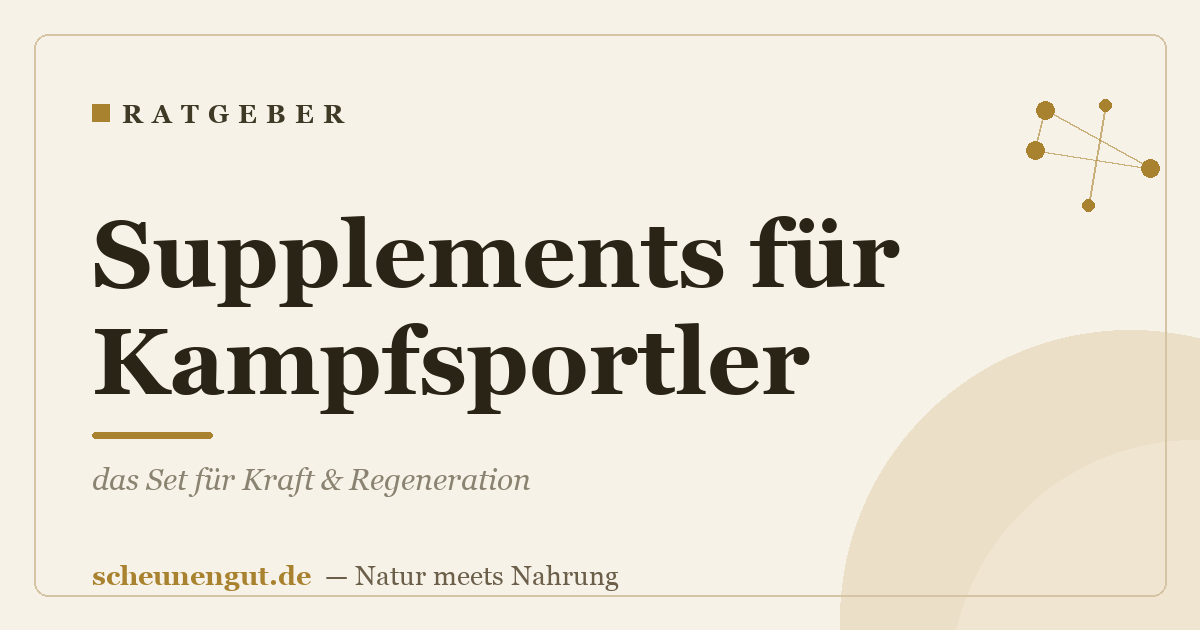 Supplements für Kampfsportler: das Set für Kraft & Regeneration