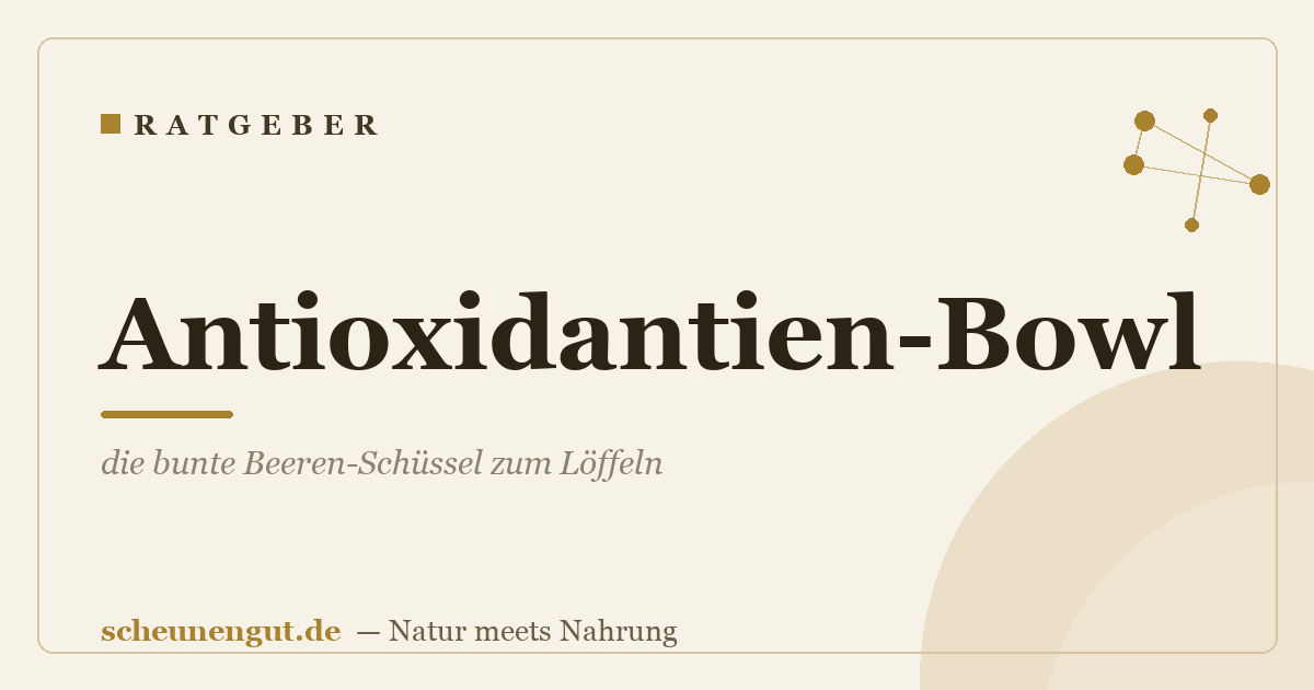 Antioxidantien-Bowl: die bunte Beeren-Schüssel zum Löffeln
