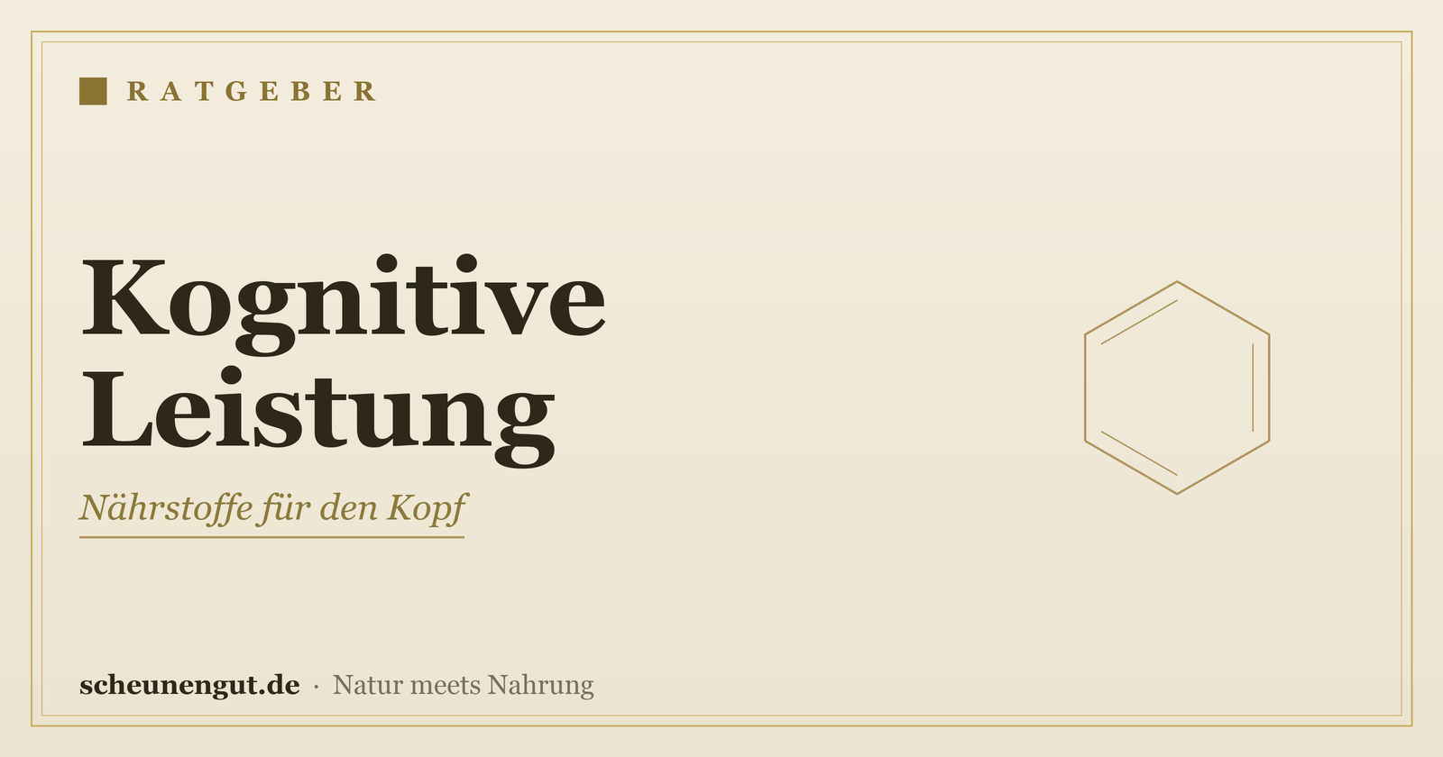 Nährstoffe für die kognitive Leistung – Ratgeber von Scheunengut