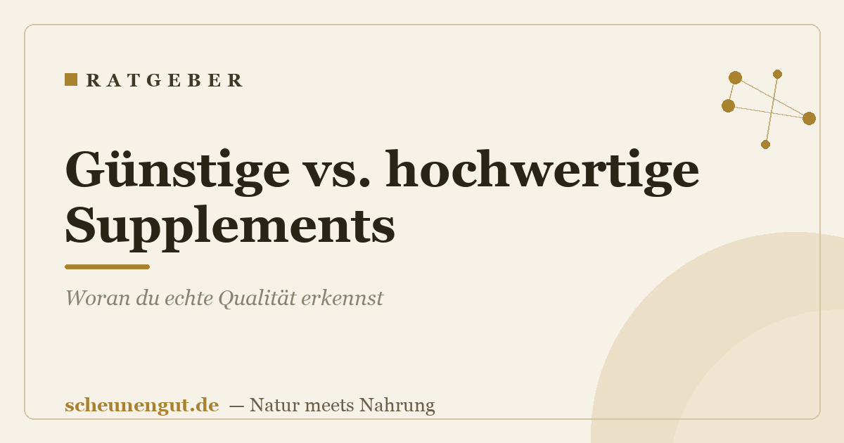 Günstige vs. hochwertige Supplements: Woran du echte Qualität erkennst