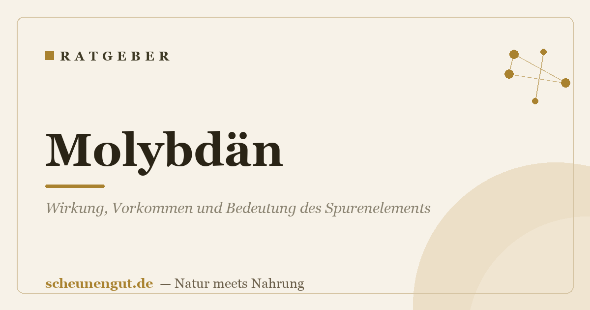 Molybdän: Wirkung, Vorkommen und Bedeutung des Spurenelements