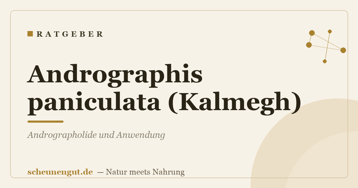 Andrographis paniculata (Kalmegh): Andrographolide und Anwendung