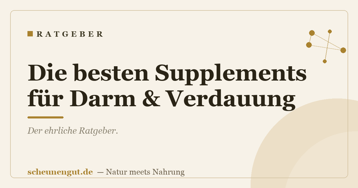 Die besten Supplements für Darm & Verdauung