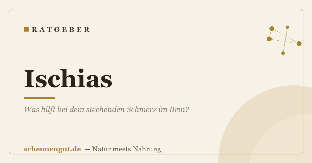 Ischias: Was hilft bei dem stechenden Schmerz im Bein?