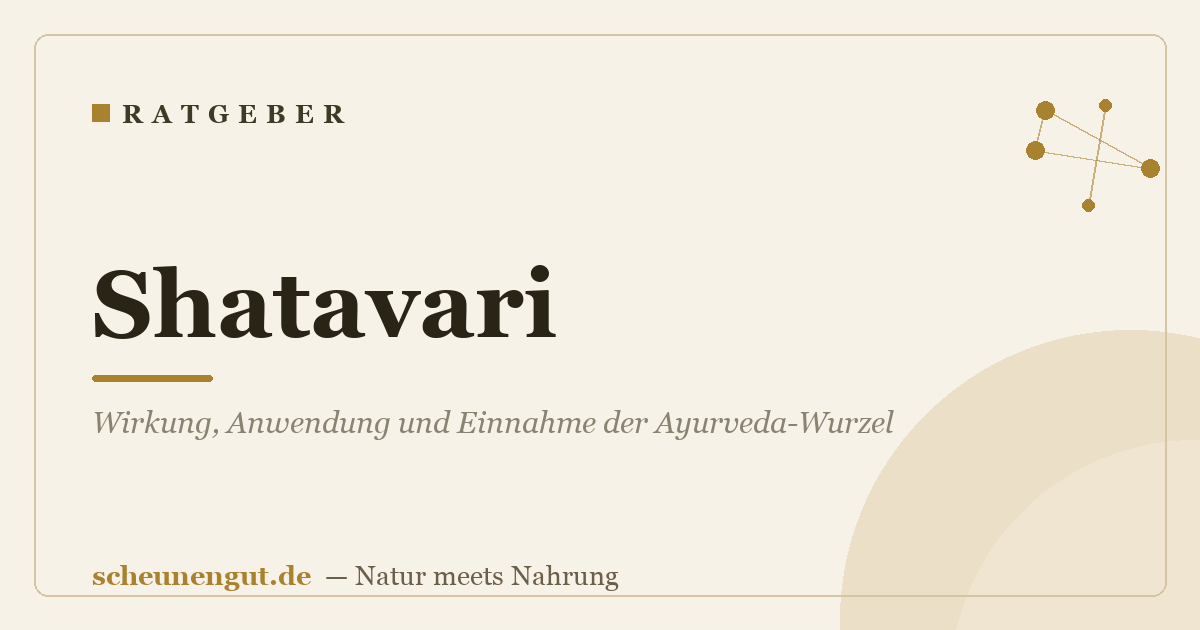 Shatavari: Wirkung, Anwendung und Einnahme der Ayurveda-Wurzel