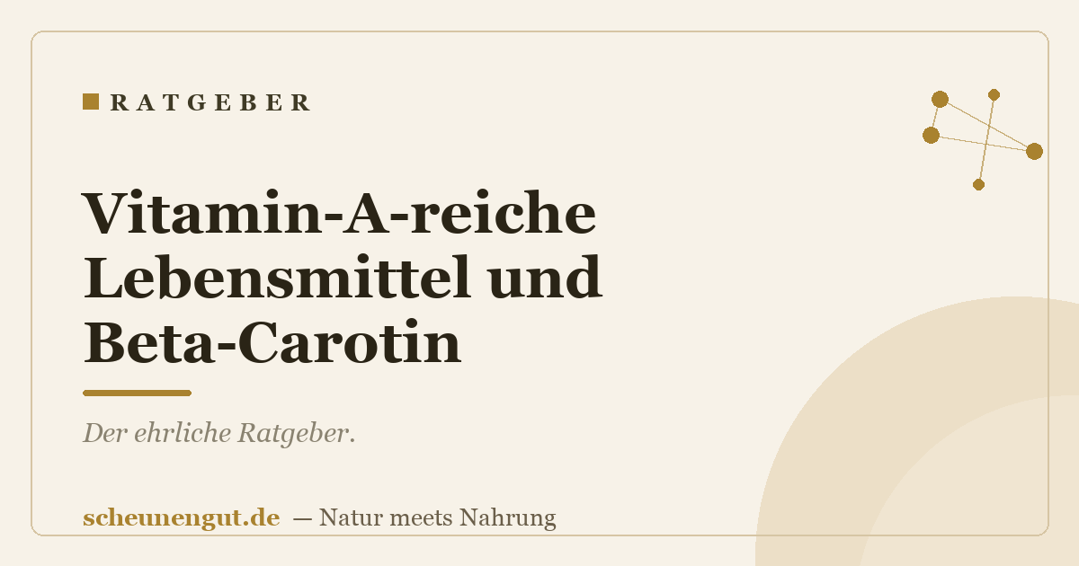 Vitamin-A-reiche Lebensmittel und Beta-Carotin