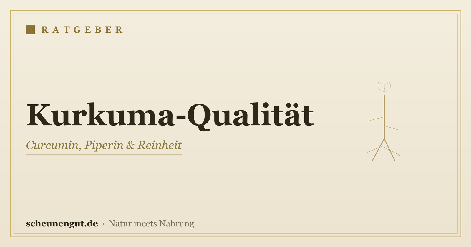 Kurkuma-Qualität erkennen – Ratgeber von Scheunengut