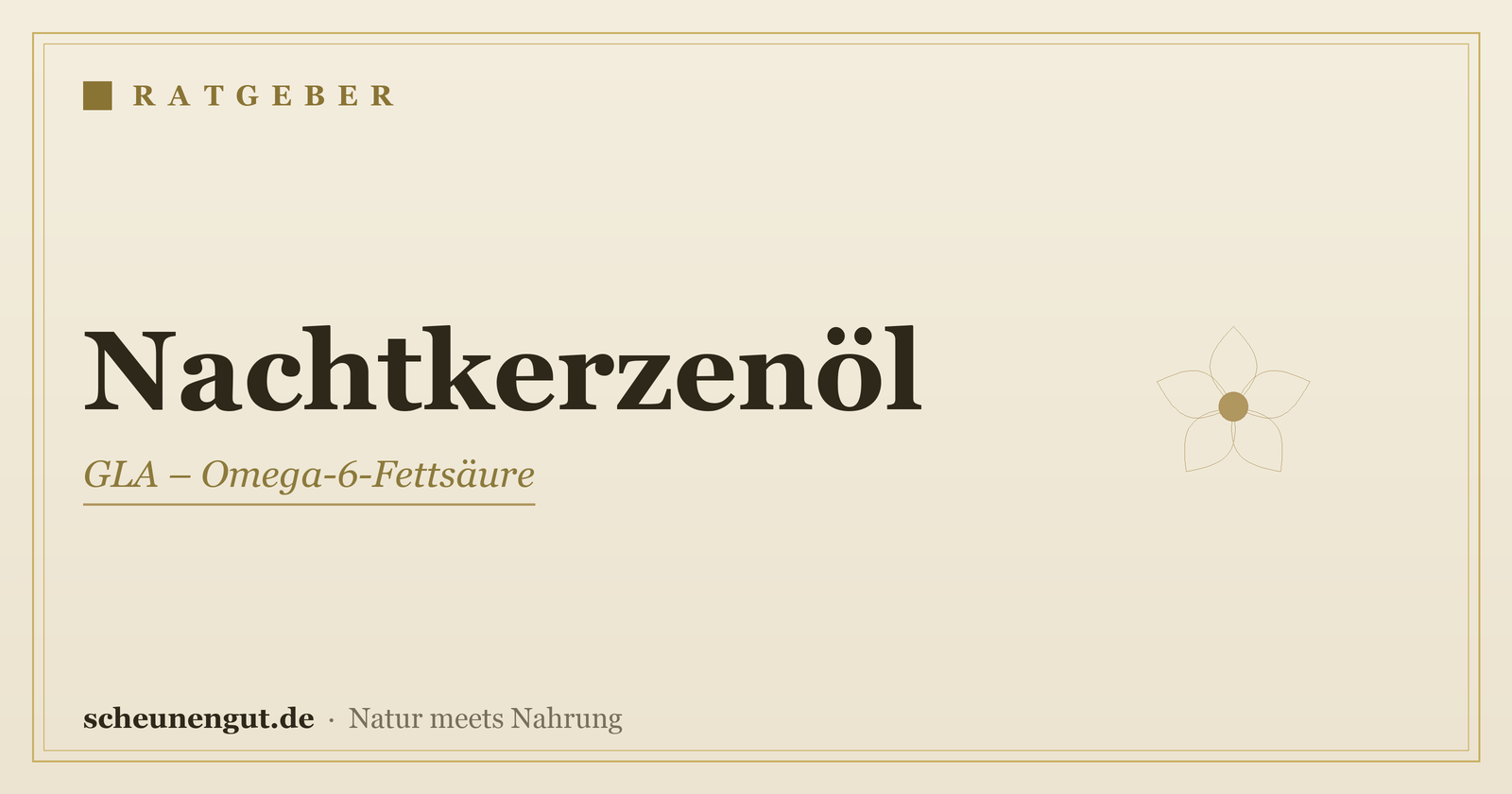 Nachtkerzenöl (GLA): Haut & Anwendung – Ratgeber von Scheunengut