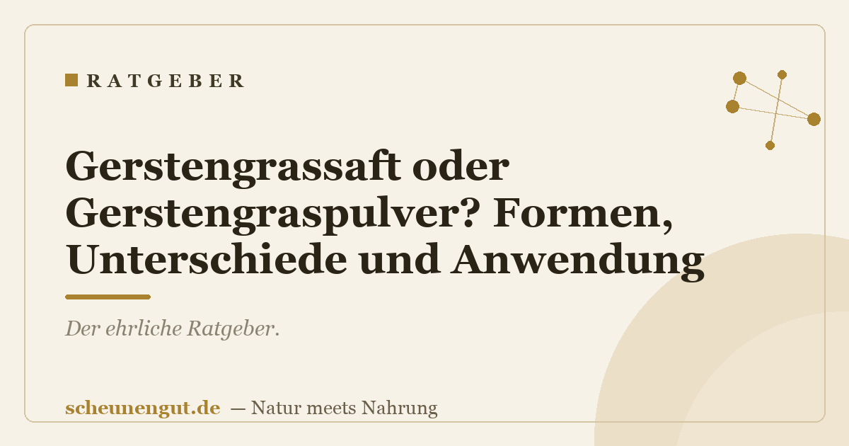 Gerstengrassaft oder Gerstengraspulver? Formen, Unterschiede und Anwendung