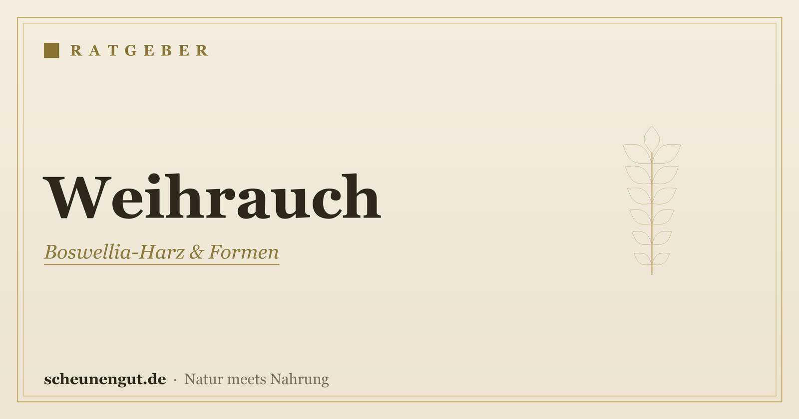 Weihrauch (Boswellia): Herkunft & Anwendung – Ratgeber von Scheunengut