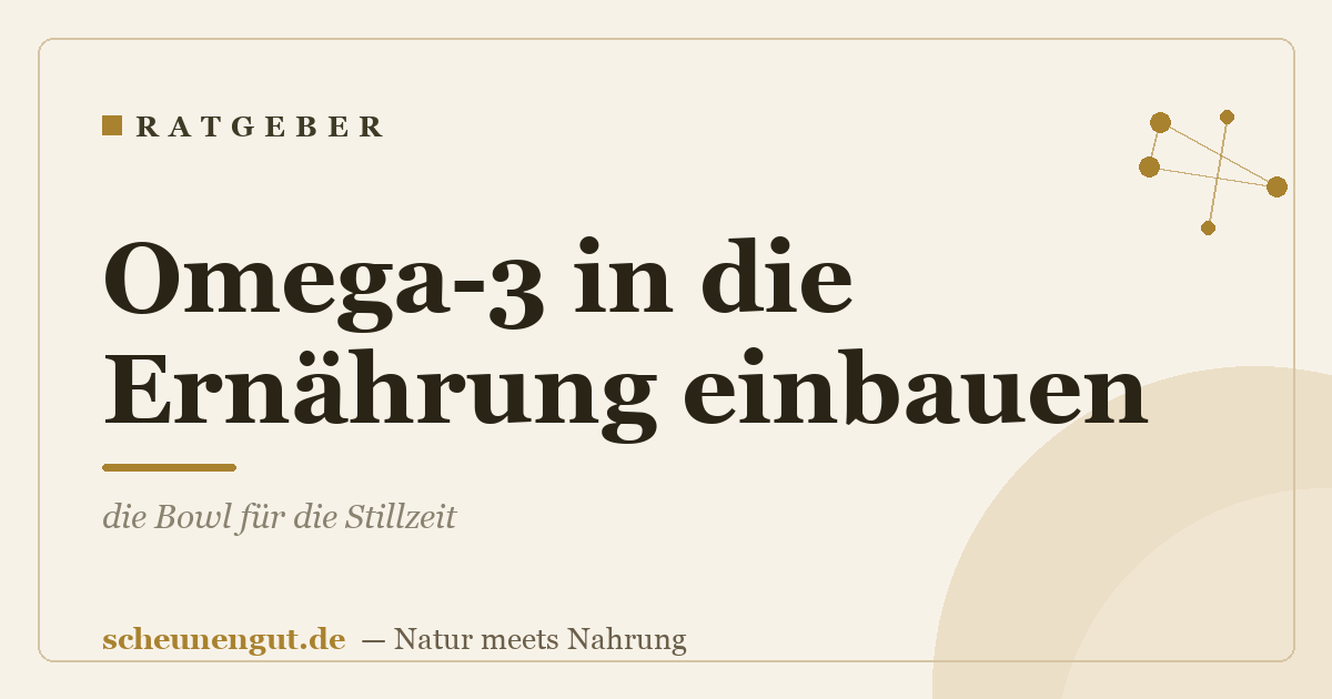 Omega-3 in die Ernährung einbauen: die Bowl für die Stillzeit