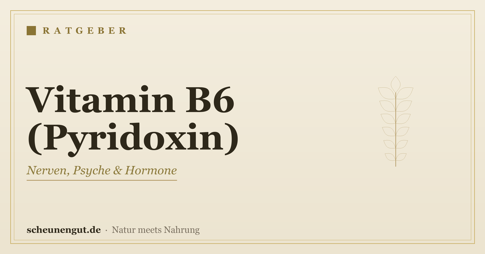 Vitamin B6 (Pyridoxin): Wirkung, Bedarf & Einnahme – Ratgeber von Scheunengut