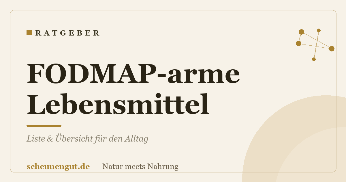 FODMAP-arme Lebensmittel: Liste & Übersicht für den Alltag