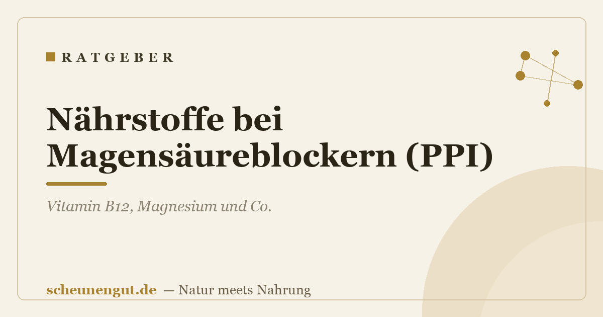 Nährstoffe bei Magensäureblockern (PPI): Vitamin B12, Magnesium und Co.