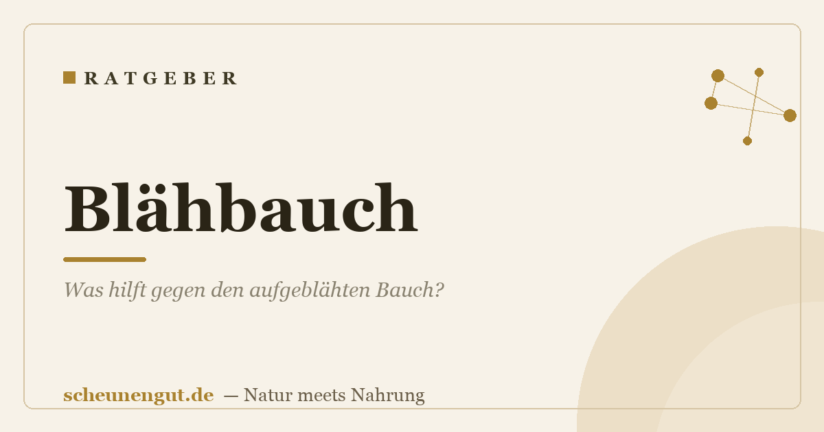 Blähbauch: Was hilft gegen den aufgeblähten Bauch?
