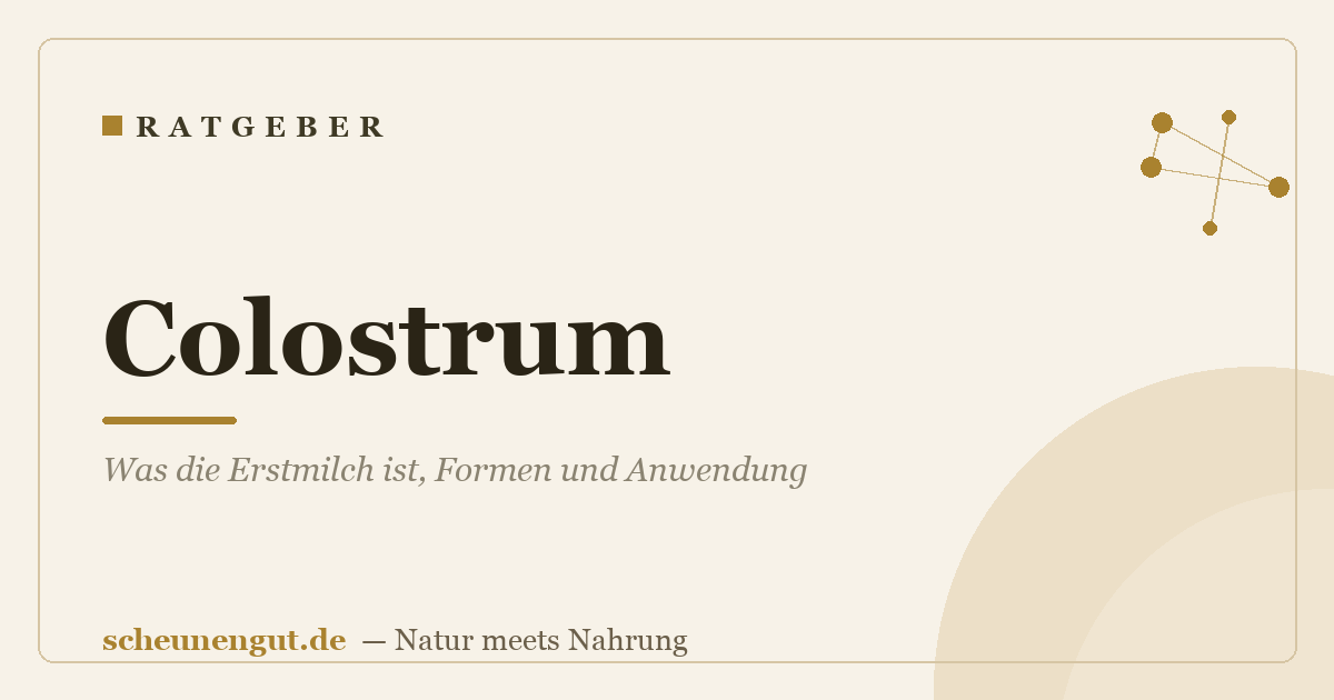 Colostrum: Was die Erstmilch ist, Formen und Anwendung