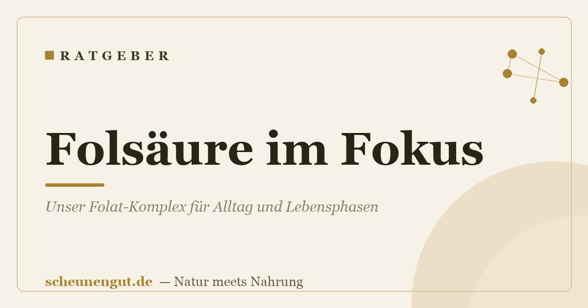 Folsäure im Fokus: Unser Folat-Komplex für Alltag und Lebensphasen