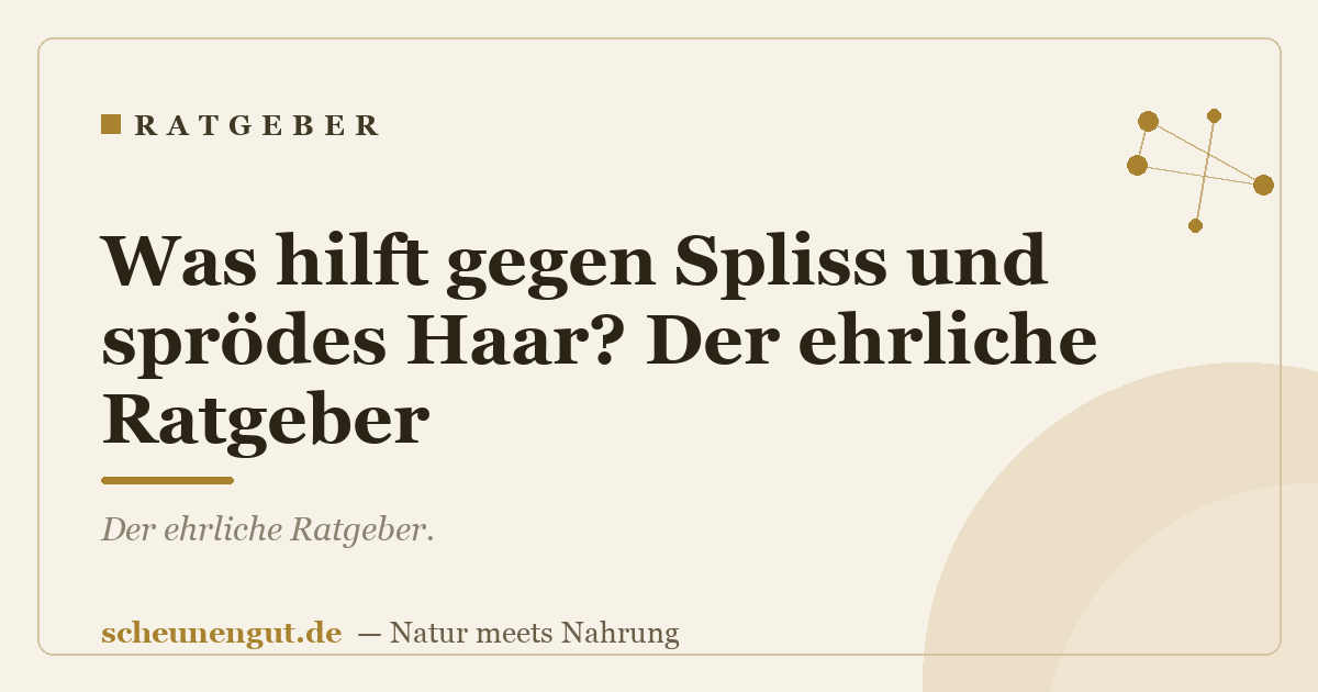 Was hilft gegen Spliss und sprödes Haar? Der ehrliche Ratgeber
