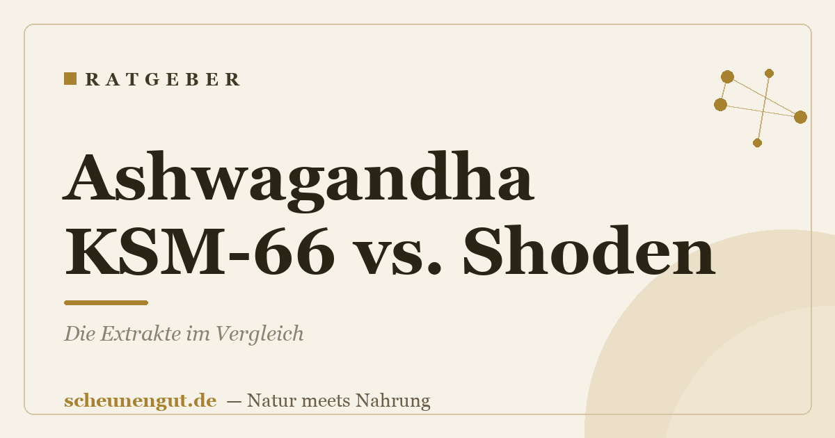 Ashwagandha KSM-66 vs. Shoden: Die Extrakte im Vergleich