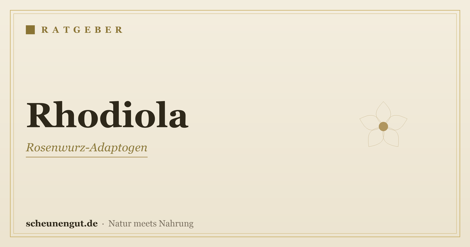 Rhodiola (Rosenwurz): Das Adaptogen erklärt – Ratgeber von Scheunengut