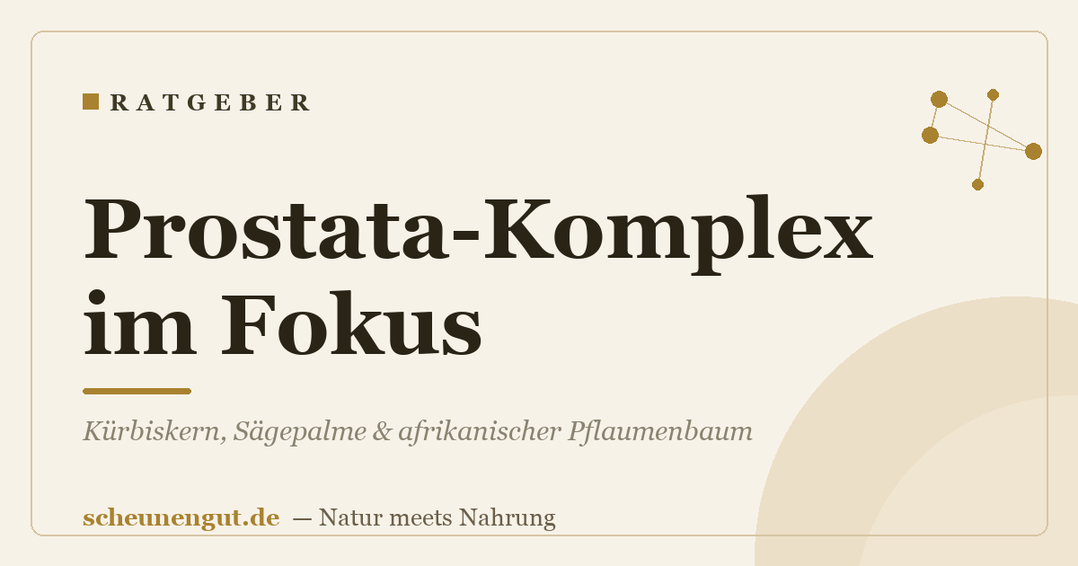 Prostata-Komplex im Fokus: Kürbiskern, Sägepalme & afrikanischer Pflaumenbaum