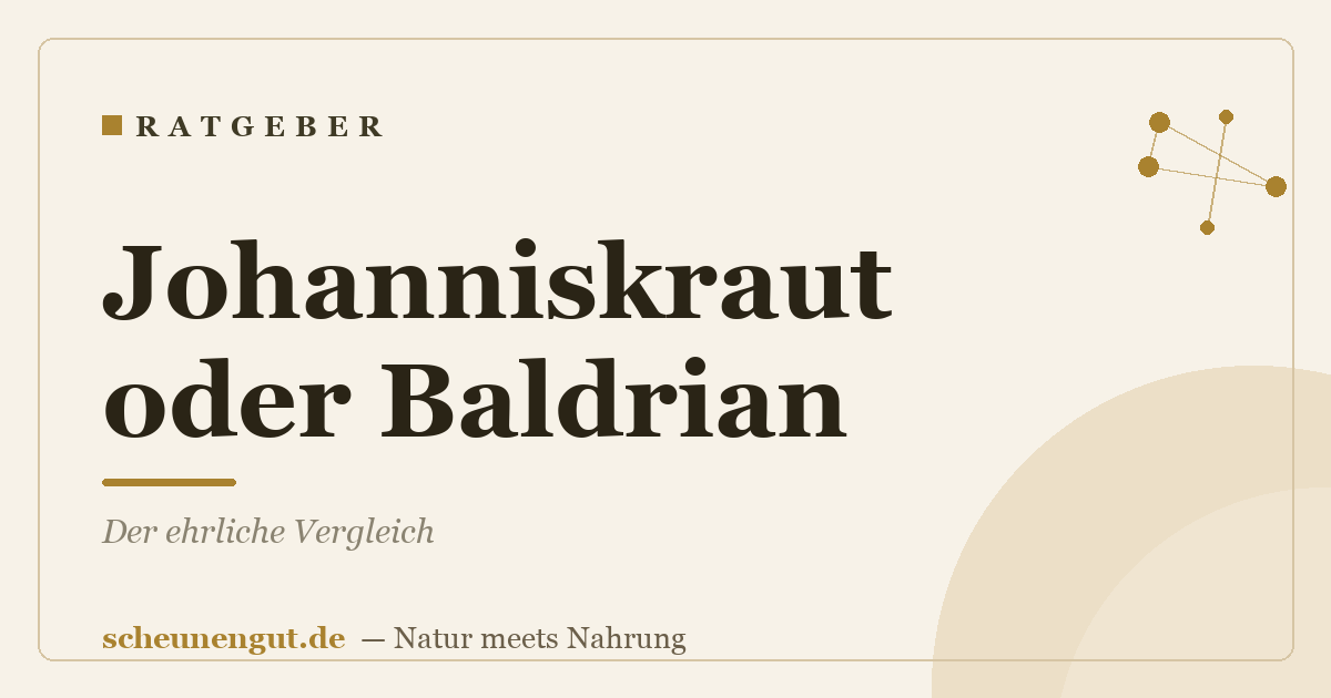 Johanniskraut oder Baldrian? Der ehrliche Vergleich
