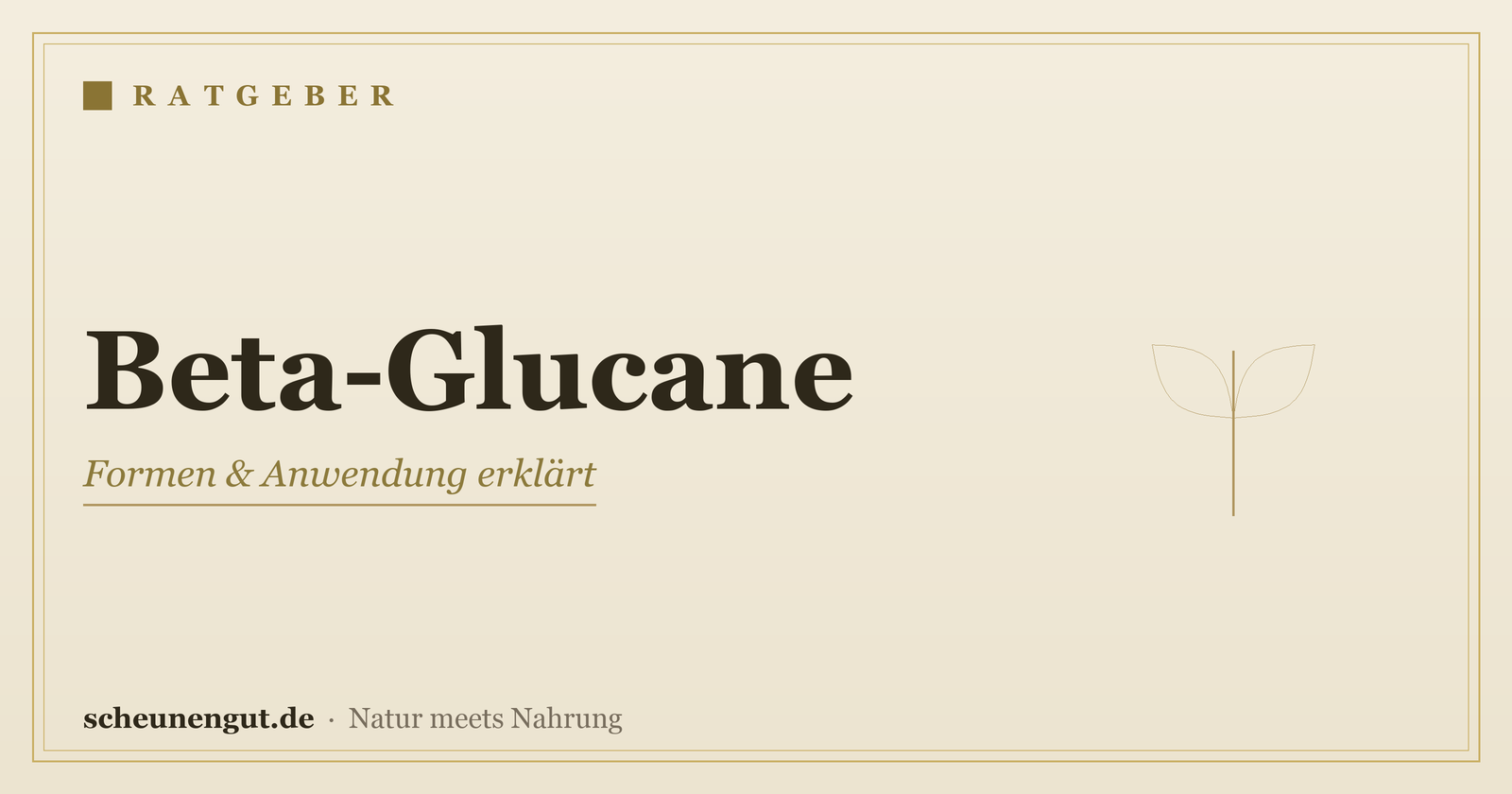 Beta-Glucane: Wirkung & Formen erklärt – Ratgeber von Scheunengut