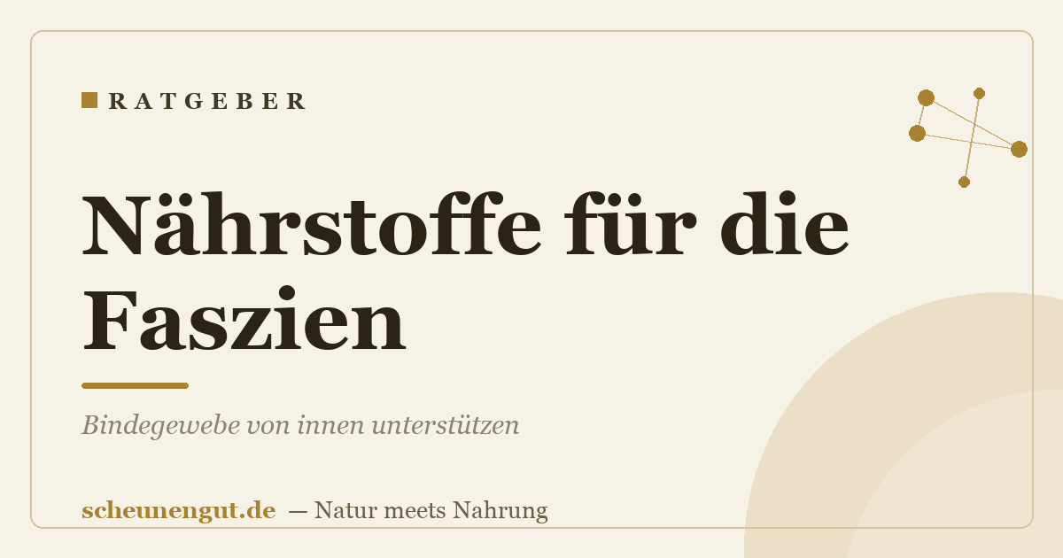Nährstoffe für die Faszien: Bindegewebe von innen unterstützen