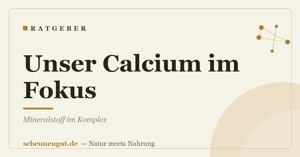 Unser Calcium im Fokus: Mineralstoff im Komplex