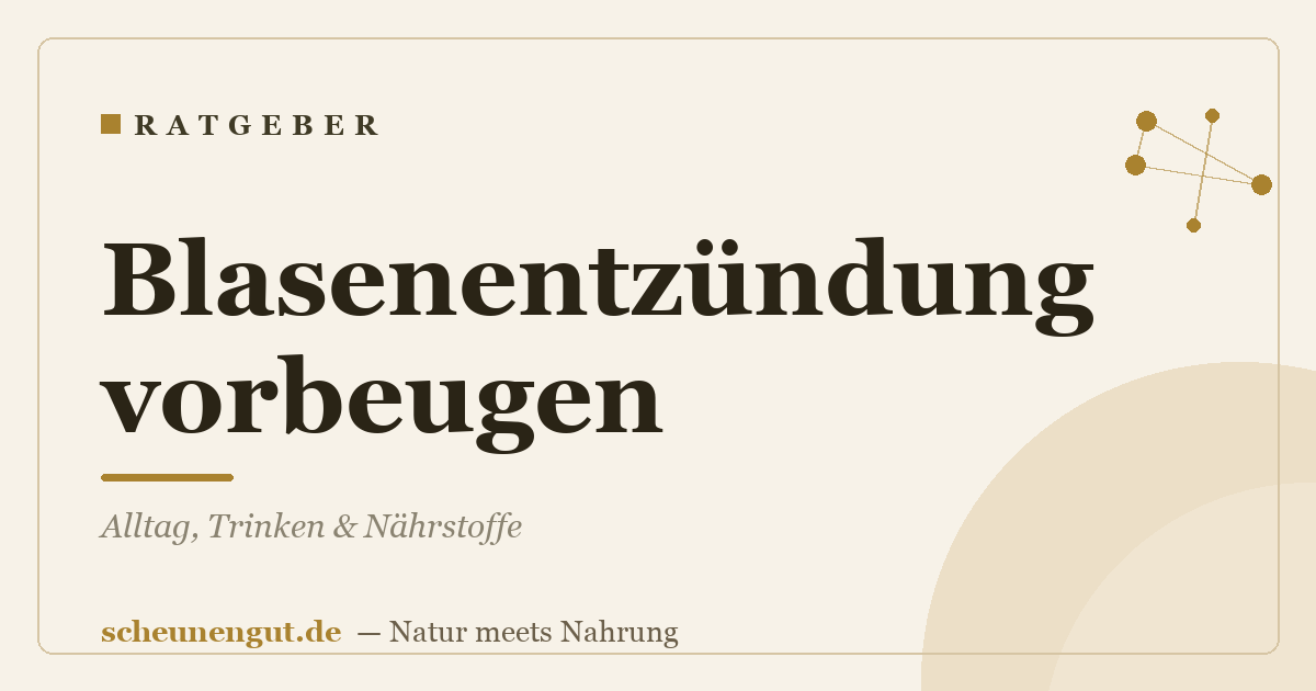 Blasenentzündung vorbeugen: Alltag, Trinken & Nährstoffe