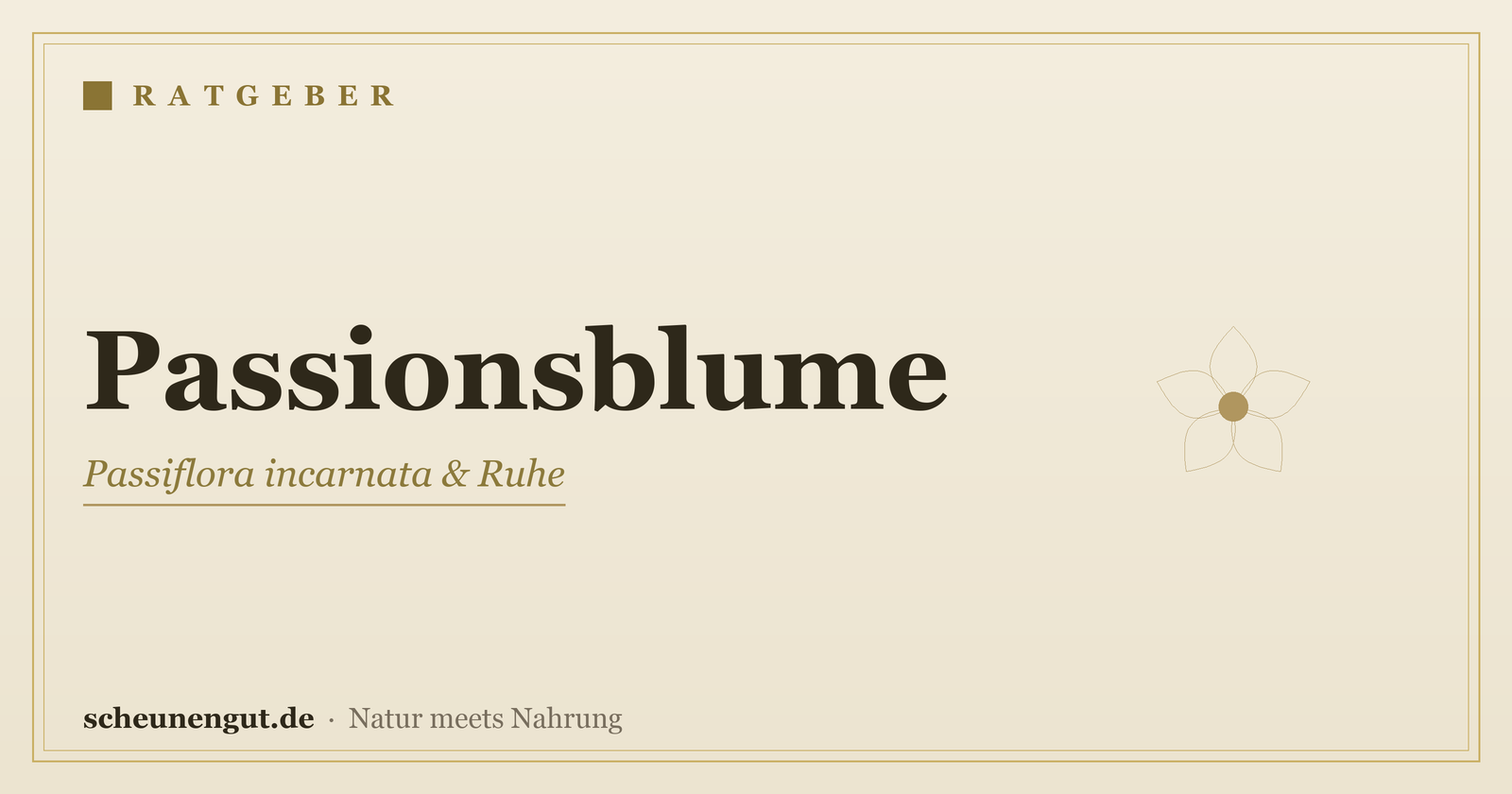 Passionsblume: Beruhigung & Schlaf – Ratgeber von Scheunengut