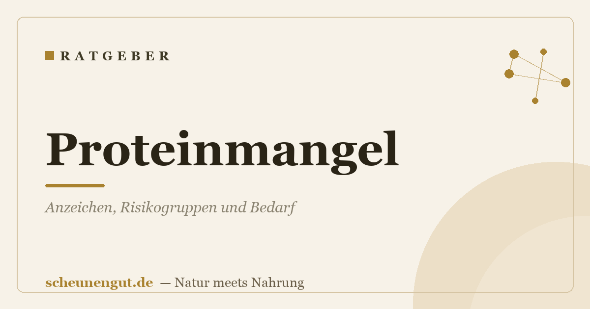 Proteinmangel: Anzeichen, Risikogruppen und Bedarf