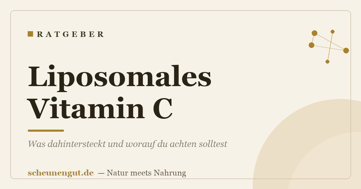 Liposomales Vitamin C: Was dahintersteckt und worauf du achten solltest