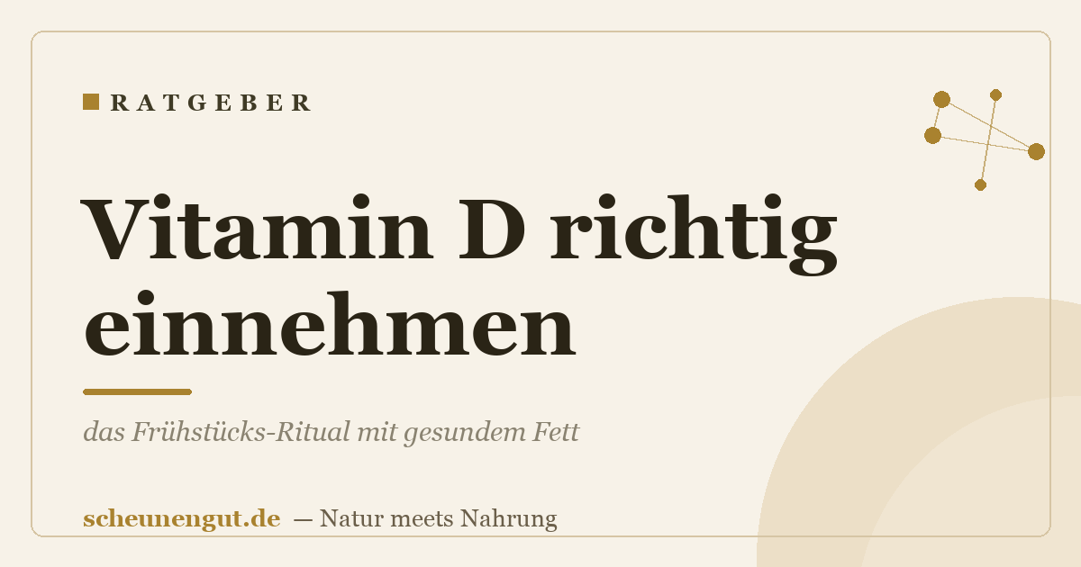Vitamin D richtig einnehmen: das Frühstücks-Ritual mit gesundem Fett