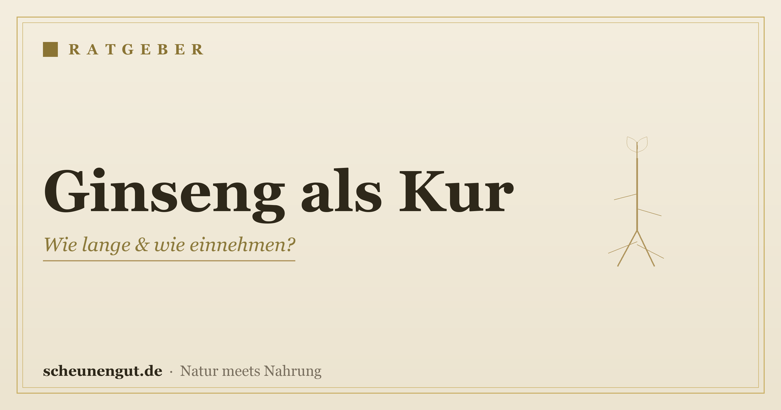 Ginseng als Kur: Wie lange und wie einnehmen? – Ratgeber von Scheunengut