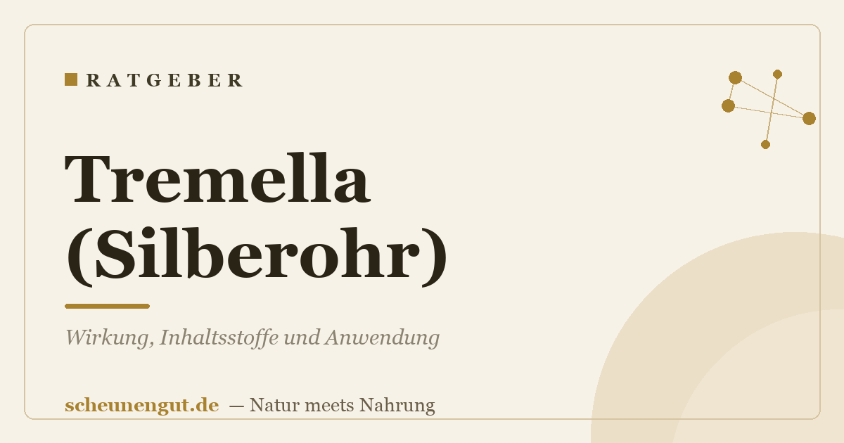 Tremella (Silberohr): Wirkung, Inhaltsstoffe und Anwendung