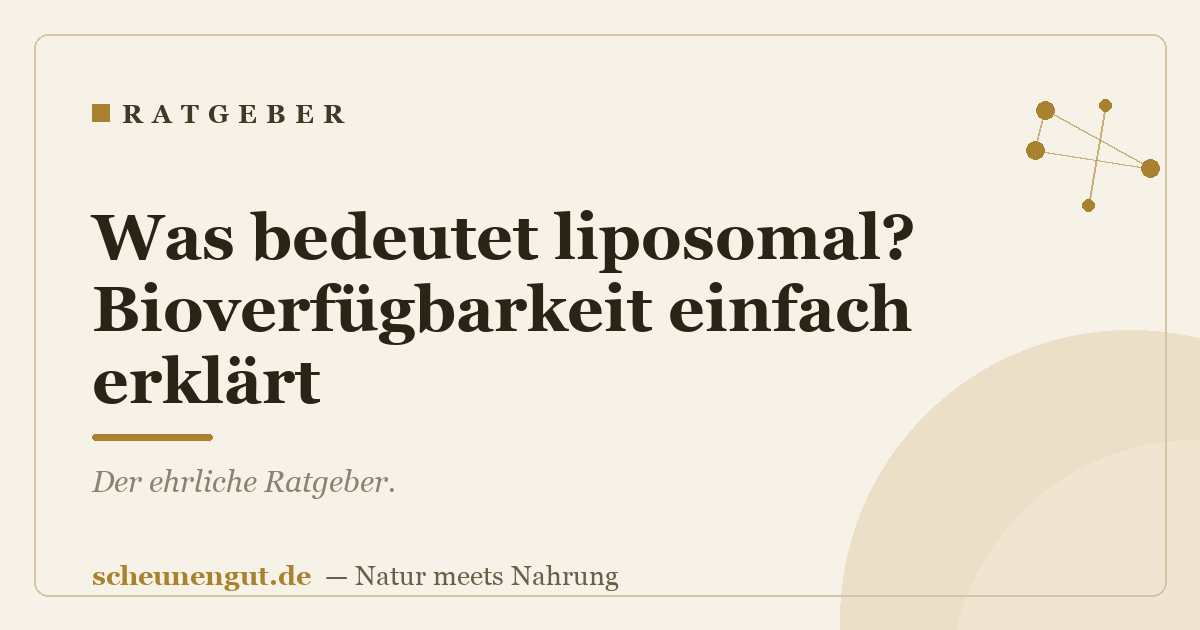 Was bedeutet liposomal? Bioverfügbarkeit einfach erklärt