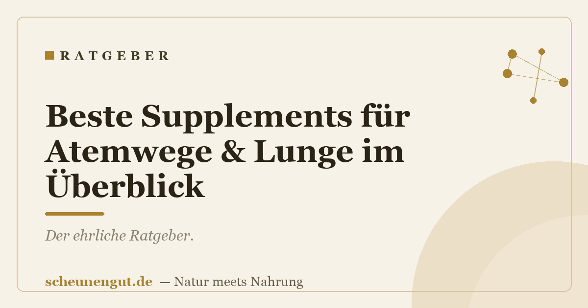 Beste Supplements für Atemwege & Lunge im Überblick