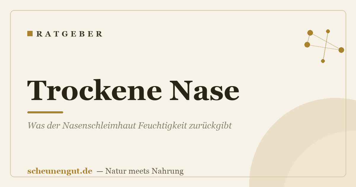 Trockene Nase: Was der Nasenschleimhaut Feuchtigkeit zurückgibt
