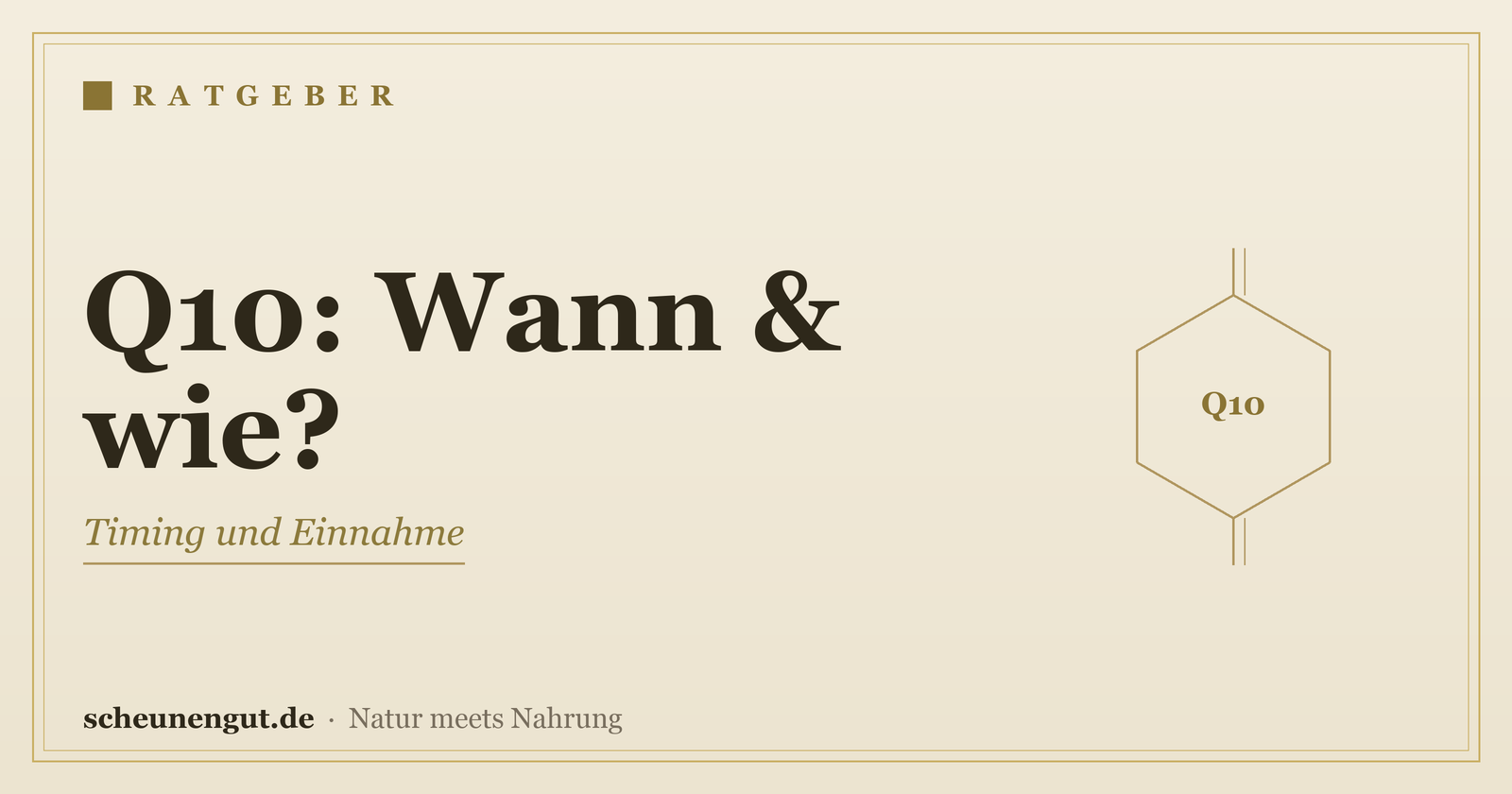 Coenzym Q10: Wann und wie einnehmen? – Ratgeber von Scheunengut